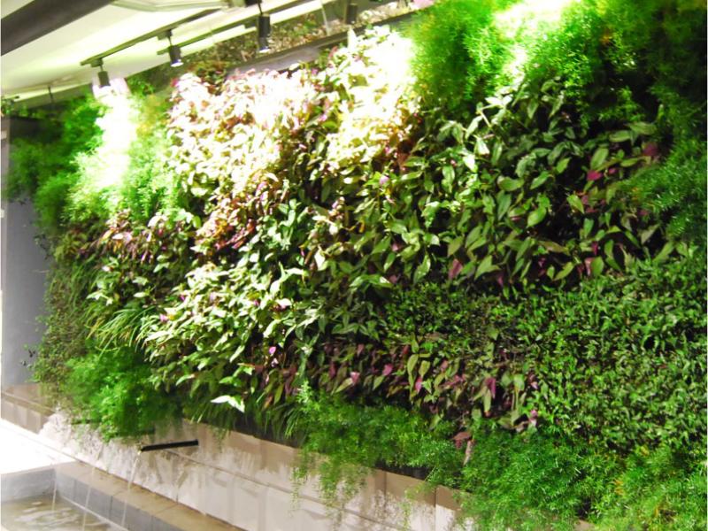 Carla Dadazio apresenta seus projetos na 6ª edição do Anuário de Paisagismo